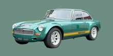 MGB GT SEBRING SIDE STRIPES