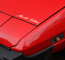 MARCELLO GANDINI SIGNATURE DECAL