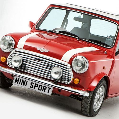 MINI CLASSIC HOOD STRIPES - VINYLSPORTCLASSIC